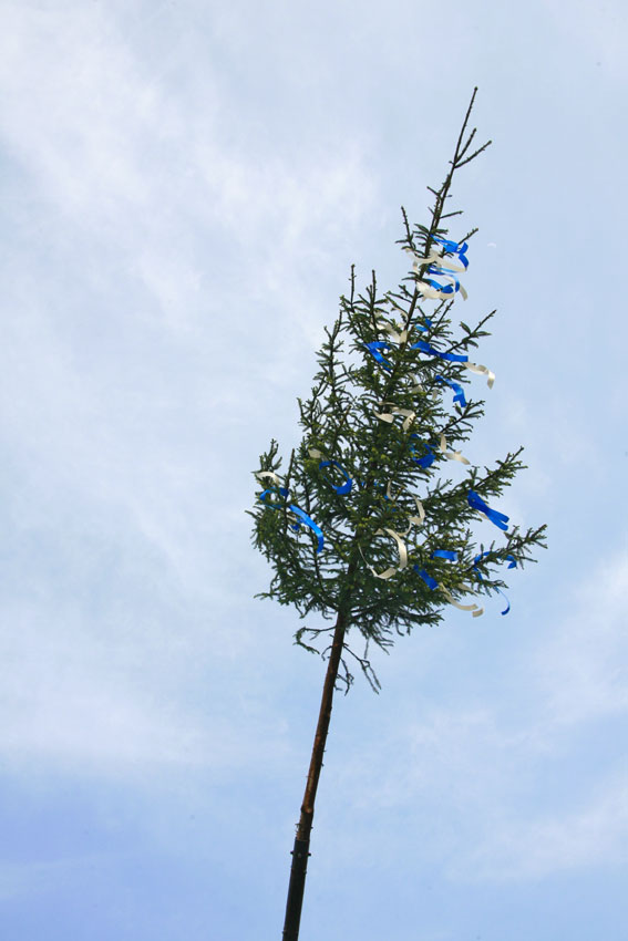 Maibaum